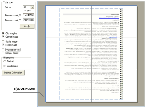 TSRVPreview components shows posters as they will be printed Print preview of a poster